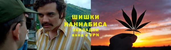 молекула духа Лихославль