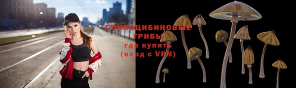 ALPHA PVP Магас