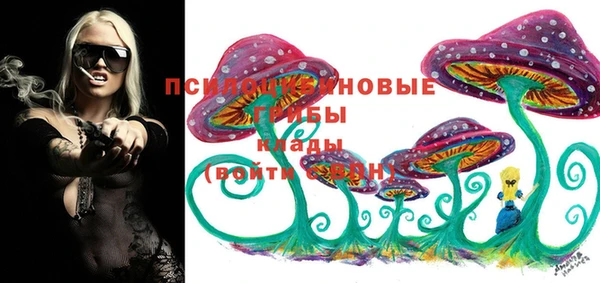 ALPHA PVP Магас