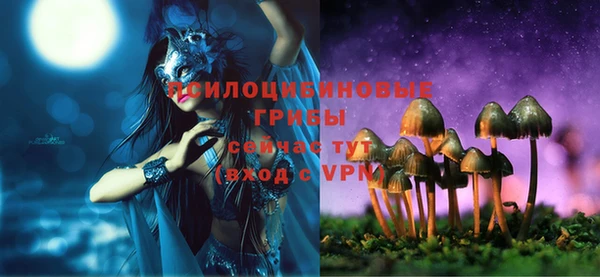 ешки Магадан